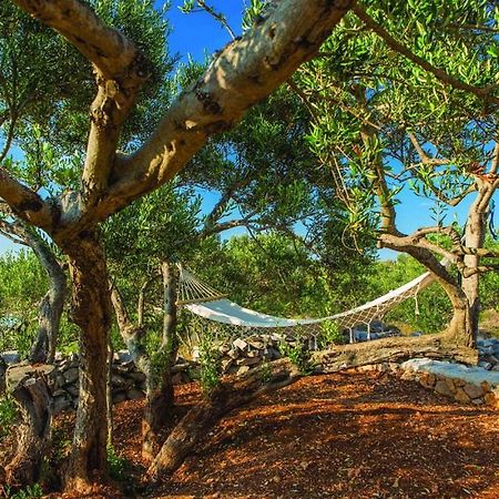 Luxury Villa Vela Rina Mali Drvenik Exteriör bild