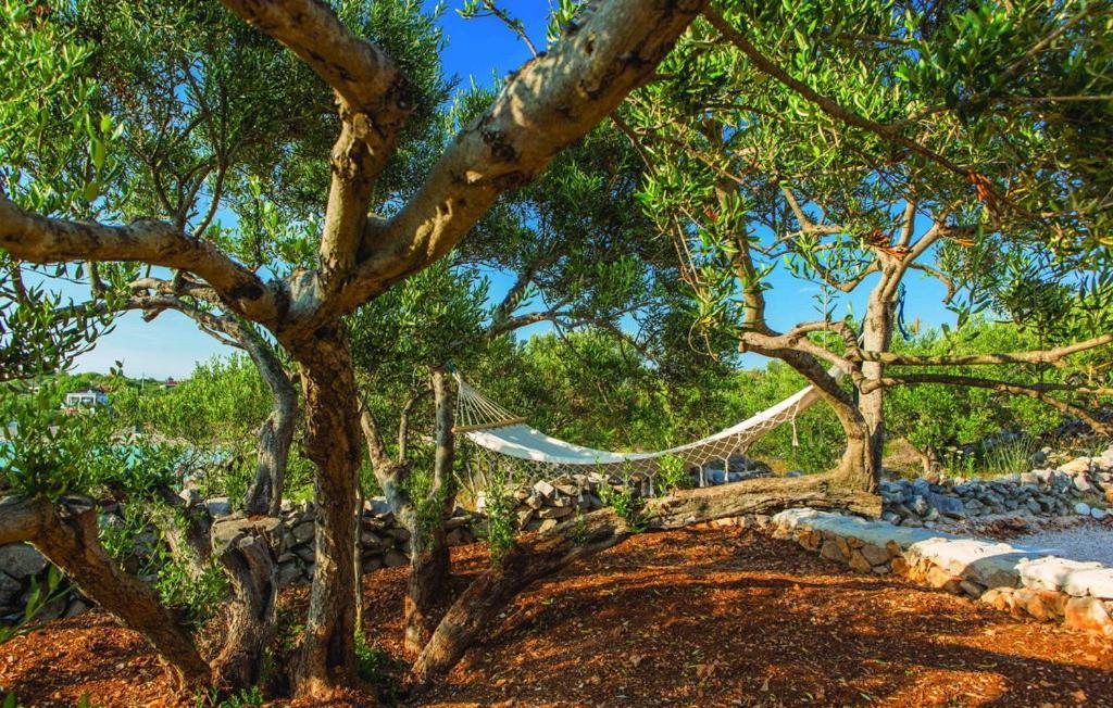 Luxury Villa Vela Rina Mali Drvenik Exteriör bild
